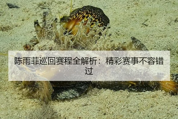陈雨菲巡回赛程全解析：精彩赛事不容错过