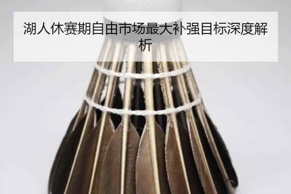 湖人休赛期自由市场最大补强目标深度解析